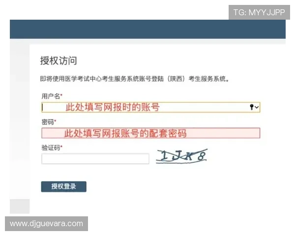 轻松访问MG地址登录入口的步骤与注意事项